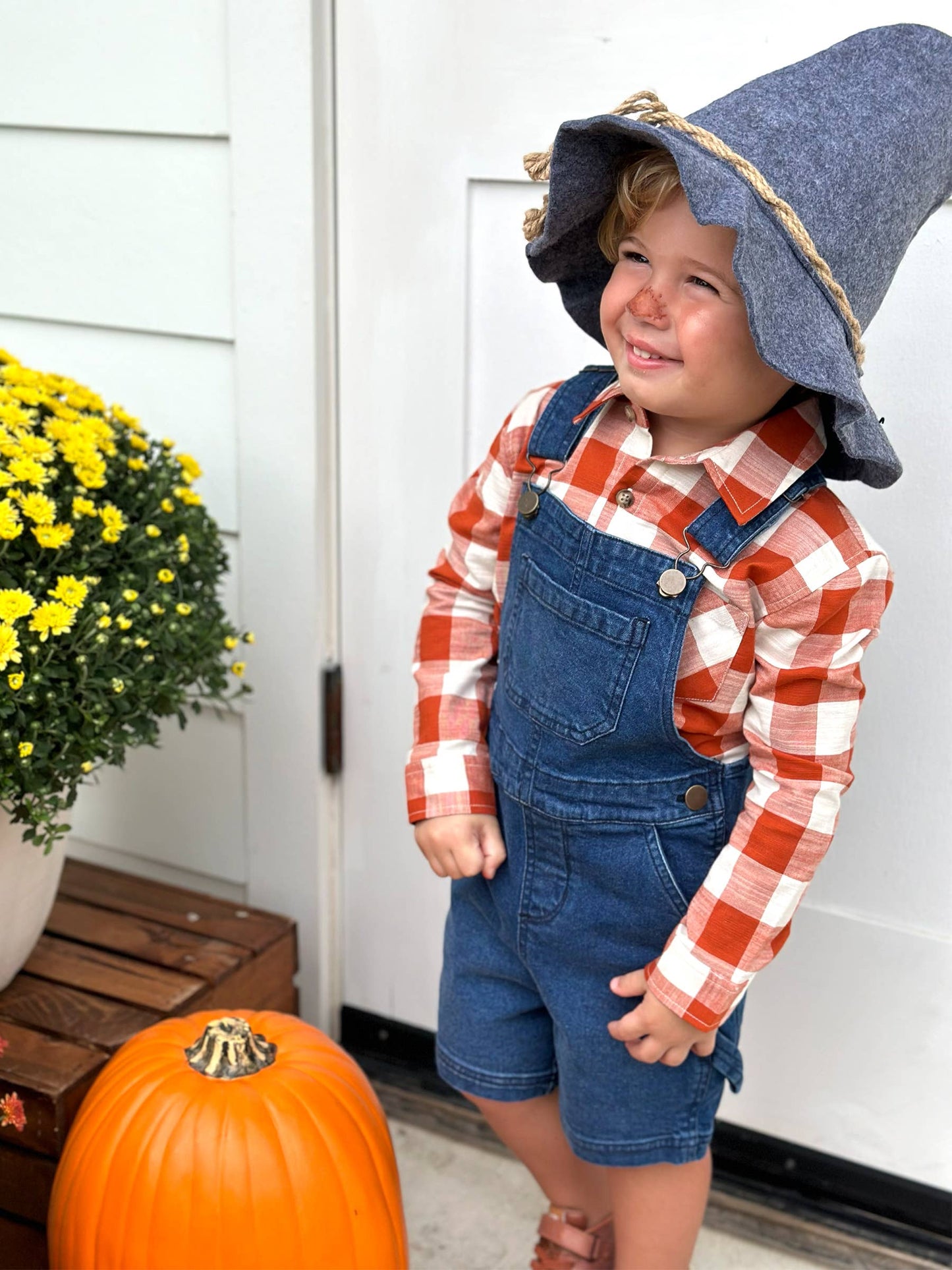 Toddler Boys Medium Wash Denim Short Overalls