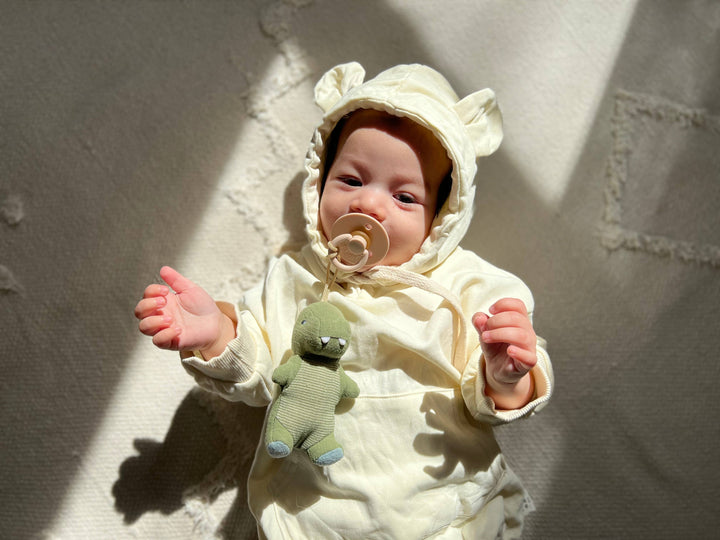 Bitzy Pal Natural Rubber Pacifier &amp; Plush