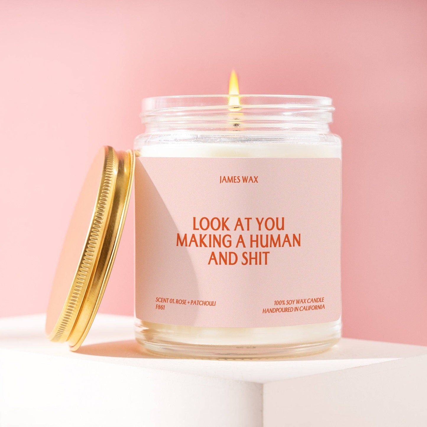Pregnancy Gift Making A Human And Shit Candle F861