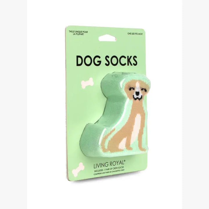 3D Packaged Crew Socks - Puppy Dog w/ Bone - Green